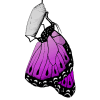 animated butterfly (2023), hand-drawn, digitally colored